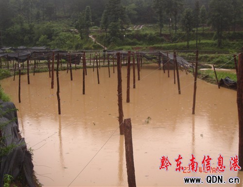 �Sƽ���y�����Ի��ؑK�Ⱪ���u�����M�D��