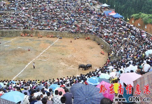 ��ƽ���ض�ţِ �����ὀ��f�ˣ��D��