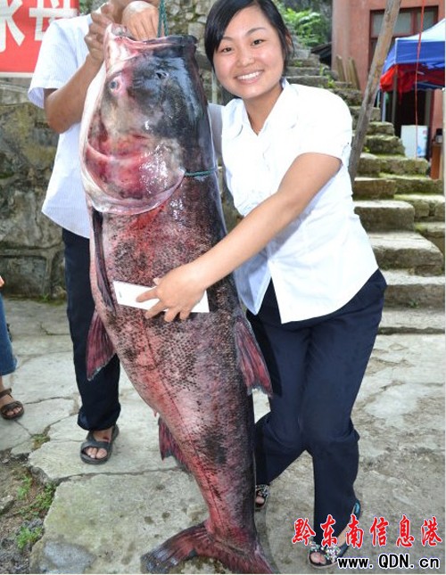 ����ꖺ��@�F1.5���L�Ļ����~ ����30��δҊ