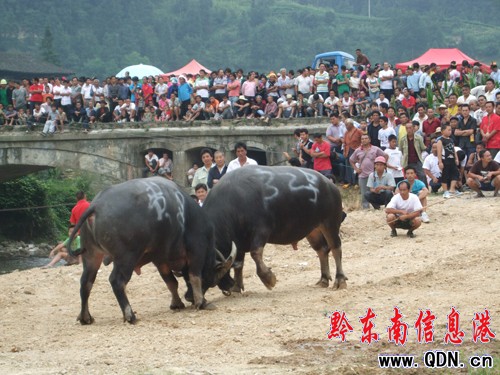 ��ɽ8�f������ͬ���g�ȡ����³��¹������D��