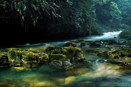 ������һ���� ǭ�|��Ư����·����(�M�D)