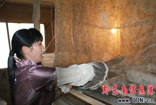 雷山苗家婦女一招鮮 養蠅喂雞賺大錢(圖)