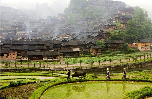 �ɺ̇��H���F:�l�P�����Ļ� ������H����Ʒ��