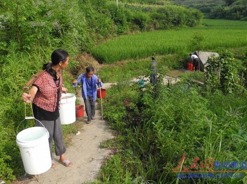 �\���~��患�������� �����ܞģ��D��