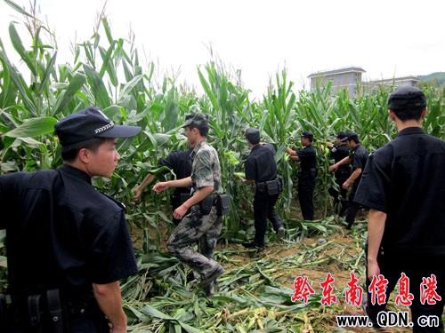 數(shù)十村民阻開(kāi)工 民警客串莊稼漢(組圖)