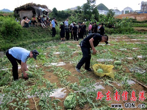 數(shù)十村民阻開(kāi)工 民警客串莊稼漢(組圖)