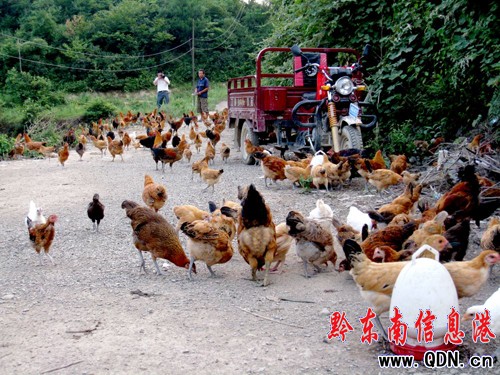 �얿h���F���u�����У��D��