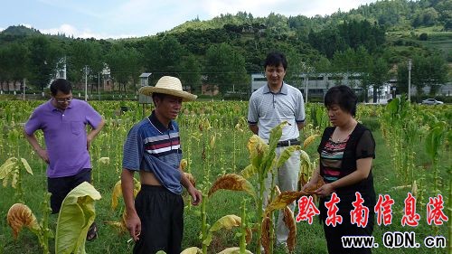 ���m���ߜ����Ӱ� �������ߜظɺ�(�M�D)