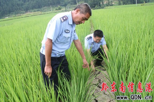 �����Ȟ�(z��i)  �Ž��������Єӣ��D��