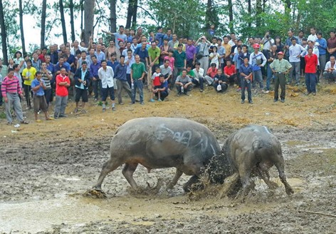 �P����կِ�R��ţ�[�����¡� ���M�D��