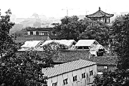 ���ϸ����^�����Ɖ����� �Ľ������Ƅ�����