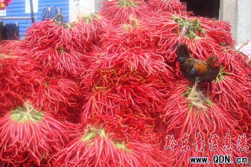 ��ɽ�h�ҽ��l�����Ј��t�ƻ𣨈D��