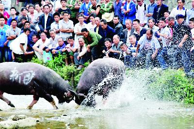 ��ɽ��ţ�g��һ��һ�ȡ����¹��������S��