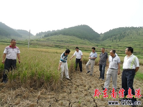 �얿h�ǹ���ʿ�e�O��ٛ�X�￹��