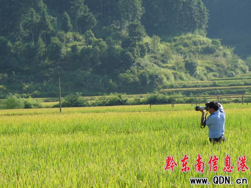 黔東南鄉村:處處是美景 景景皆圖畫(組圖)
