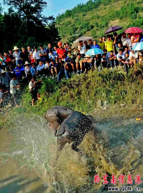 ��կ�����ҵĺ��ж�ţ���M�D��