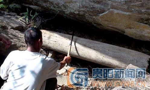 ����ľ�� �������У��D��