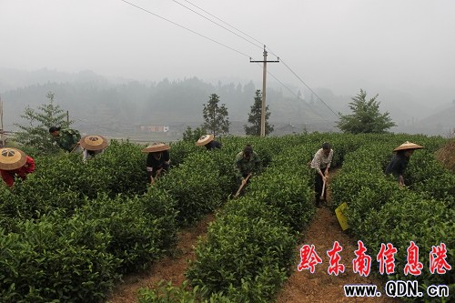 Ů������B������ƽ�ײ��~�a�I�lչ��߅��