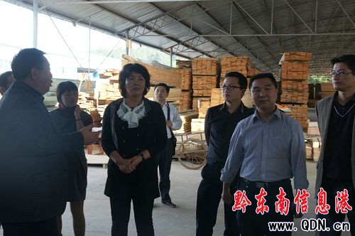 臺(tái)江縣委書記戚詠梅深入工業(yè)園區(qū)等地調(diào)研