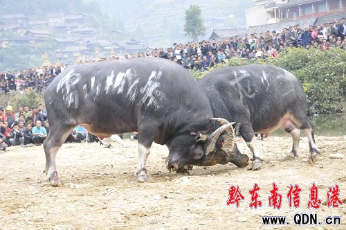 ��ɽ�h�Ĳع���ţ���ʳʼ����D��