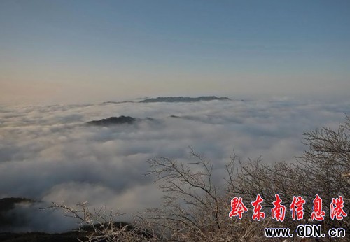 �׹�ɽ����ɭ�ֹ��@���F�Fڡ�������D��