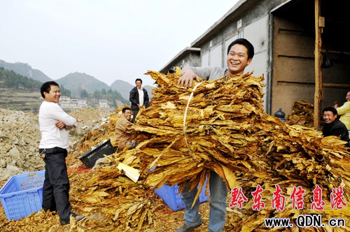 ����ɫ�r(n��ng)�I(y��)�_��· �����r(n��ng)�������σ|Ԫ