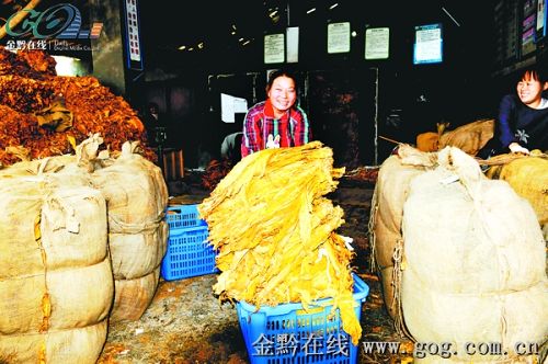 �얿����S���r(n��ng)������ ÿ��(d��n)���r(ji��)��806.03Ԫ