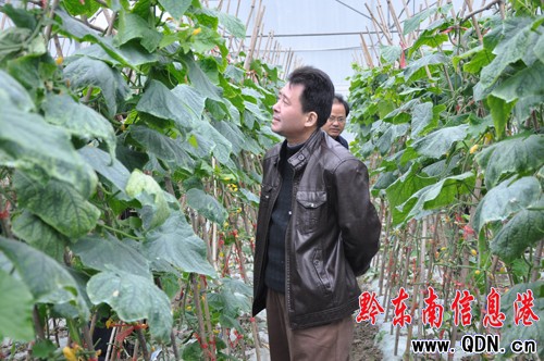 凱里市政協(xié)副主席鄧友軍等領(lǐng)導(dǎo)到舟溪調(diào)研