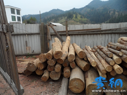 �|Ŀ�篏�� ��z�ľ��I���l�R��^���D��