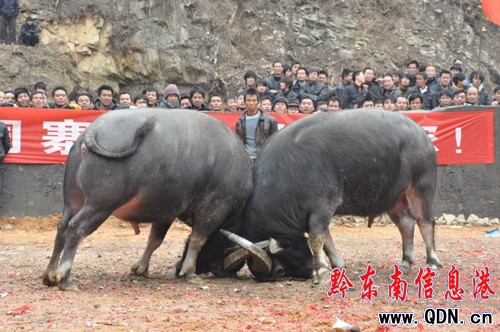 �Ž���ʮ��կ��