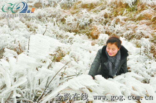 �P���tɽ�ϬF�Fڡ���D��