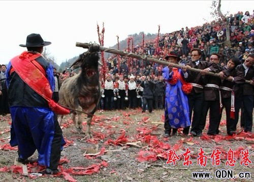 劍河縣交東村苗寨舉行13年一次的“招龍節(jié)”