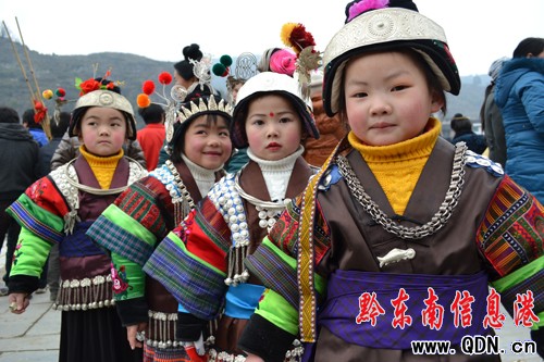 苗族同胞歷史符號 笙聲不息 代代相傳(圖)