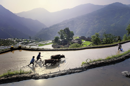 ̽�����ص�ǭ�|�ϣ��M�D��