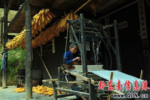 72�q�������˫@����F��������Ʒِ�ܹ��ɽ���