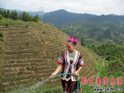 ��ƽ�G����Ƭ׃�U�錚���D��