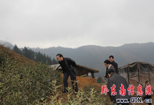 省民委主任吳軍深入雷山開展檢查調研工作(圖)