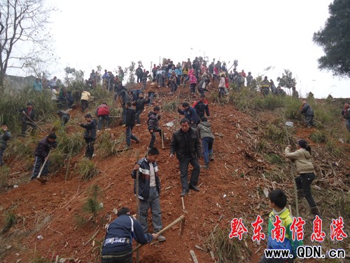 �����hȫ���_չȫ���x��(w��)ֲ���ӣ��D��