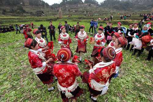 ʩ���h�e�k��������J�ϕ����M�D��