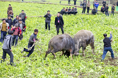 ʩ���h�e�k��������J�ϕ�(hu��)���M�D��