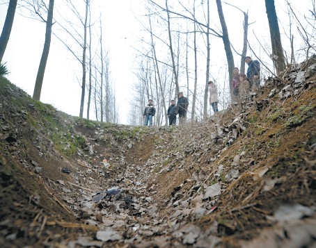 �c���M����һ�