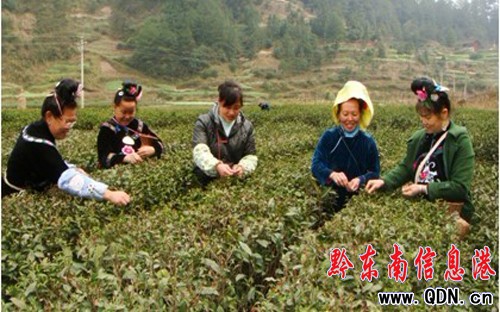 ��ɽ��벢�e ���Fȫ�h�������a���_�T�t��