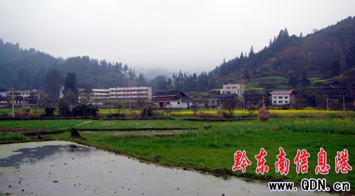 被一幅幅美麗的田園美景你能不醉?(圖)