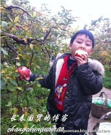 ��ҕ��Ů������Ȫ�`���q�����ع� ���տɐ�