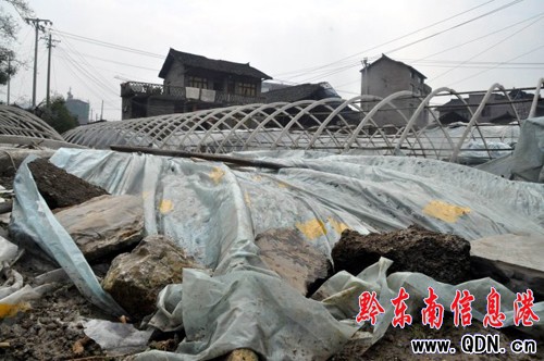 �_����Ҋ����25���܂� �ί��M���������I�Ρ�