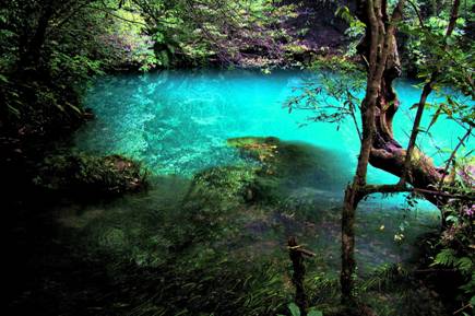 �؜�̩̹��˽��� ���fǧ������h���D��