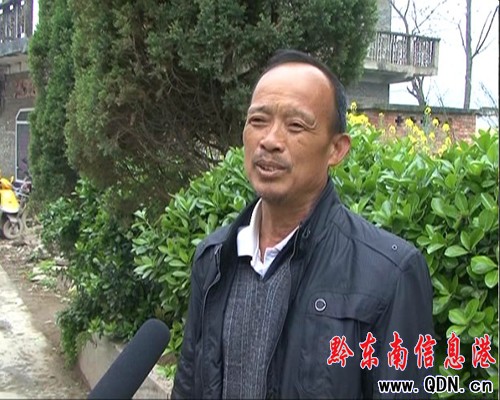 �����h�h�̽������h�T��Ⱥ���¸���