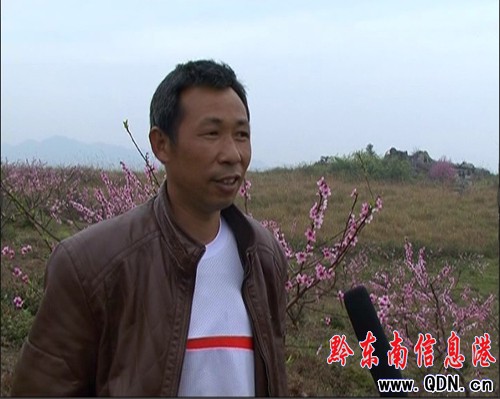 �����h�h�̽������h�T��Ⱥ���¸���