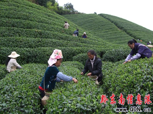 ��ɽ���rͶ���@ȫ�����ռ����Բ���(�D)