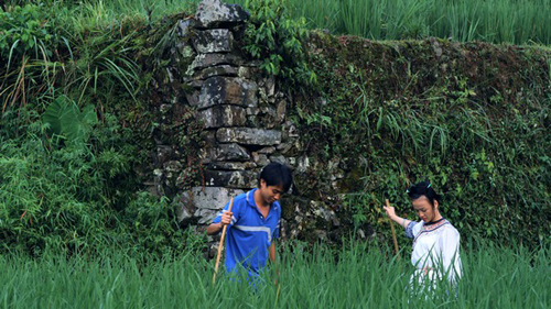 �����ڶ��l(xi��ng)������ ����(xi��)�o���l(xi��ng)�����(sh��)�����D��